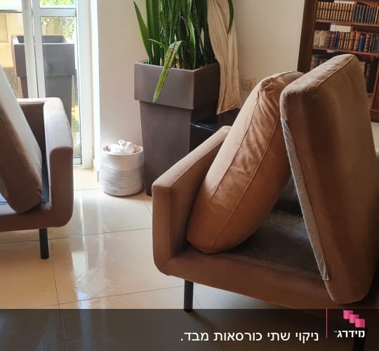 ספות עם כריות מורמות לניקוי ליד חלון וצמח